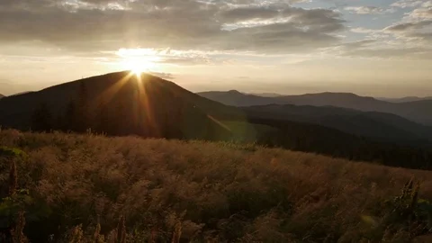 Wind shakes the grass in the mountains during a sunset Stock Footage 77567291