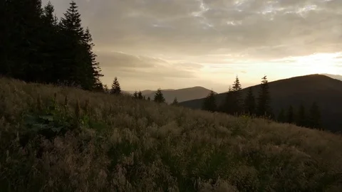 Wind shakes the grass in the mountains during a sunset Stock Footage 77567811