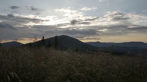 Wind shakes the grass in the mountains during a sunset Stock-Footage 77569877