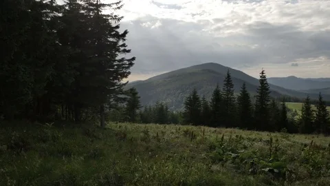 Wind shakes the grass in the mountains 스톡 동영상 77601276