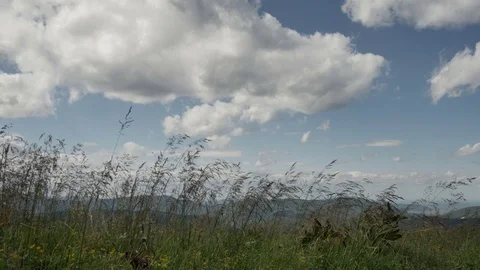 Wind shakes the grass in the mountains Vídeos de archivo 77608406