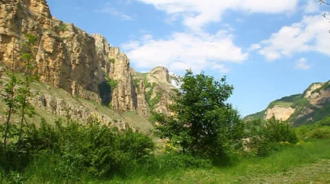 Wind shakes the tree in a mountain gorge Stock Footage 23903714