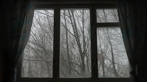 Wind shakes the trees and snow falling in wooded area seen through window Vídeo Stock 59691362