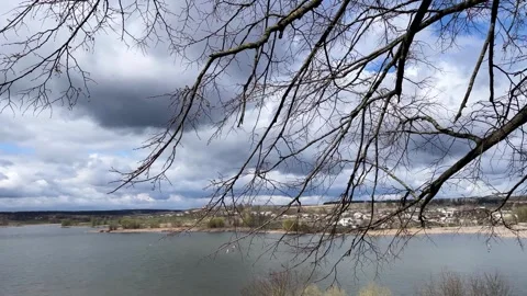 The wind is shaking the branches against the background of clouds and a river Stock Footage 319759289