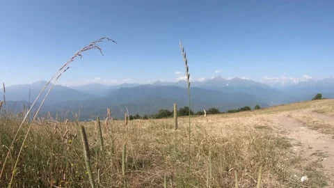 Wind shaking the dry grass against the backdrop of the Caucasus mountains Stock Footage 204869863