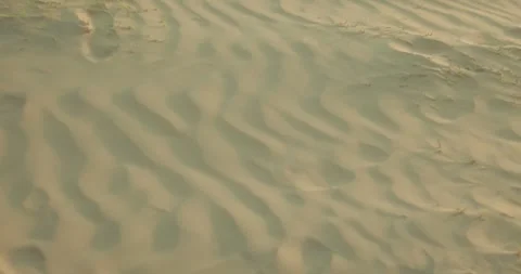 Wind shaping soft sand patterns across beach dunes, creating a minimal natural Stock Footage 335983623