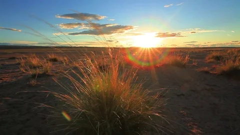 Wind on the shore of a mountain lake with high grass Stock Footage 72336067