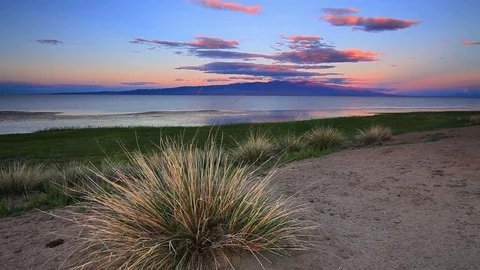 Wind on the shore of a mountain lake with high grass 스톡 동영상 72336337