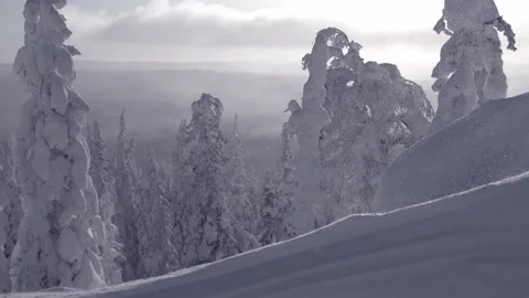 Wind with snow is blowing down hill. Snowflakes glisten in sun. Stock Footage 150371764
