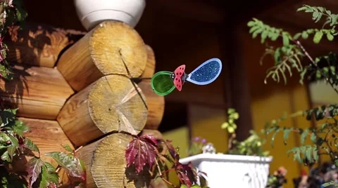 Wind spinner russia Stock Footage 68079162