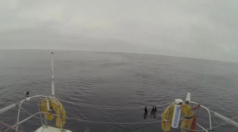 Wind still Stock Footage 25420218