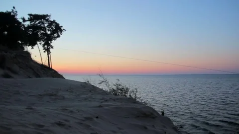 The wind stirs the grass on the sand near sea Vidéo 73768741