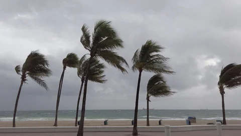 Wind Storm Beach Stock Footage 119790035