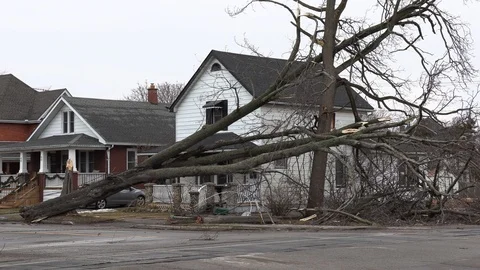 Wind storm damage with power lines and trees down on city street Stock Footage 103514549