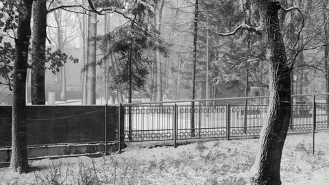 Wind Storm Stock Footage 83885234