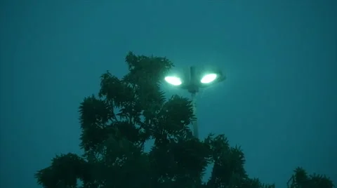 Wind storm rain. wet weather background. windy stormy slow motion Stock Footage 64538439