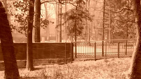 Wind Storm Snow Stock Footage 83885173