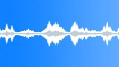 Wind, Strong, Rustling in Trees, Night, LoopSound Effect