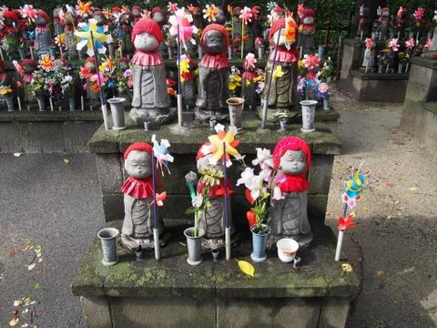 The wind in summer Stock Photos