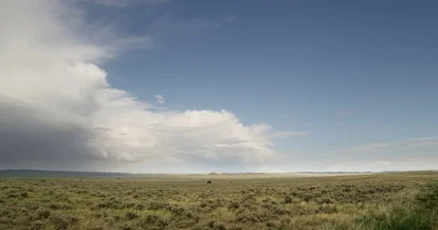 Wind in sunny grass as storm rolls over prairie Stock Footage 83459551