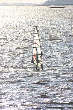 Wind surfer learning how to sail. Stock Photos
