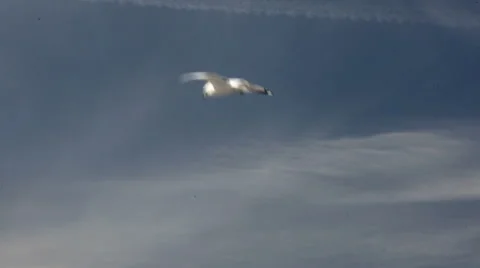 Wind Surfers 스톡 동영상 54760395