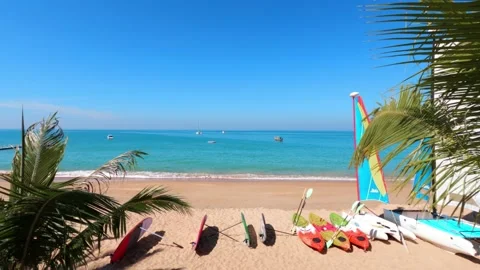 Wind surfing n surf board on summer sand beach with palm tree leaf Stock-Footage 151387330