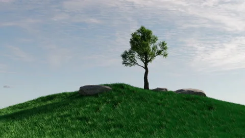 Wind Sway on grass hill 库存影片 229952104