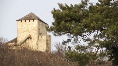 Wind swaying branches in the background of a stone medieval tower Видео 102274811