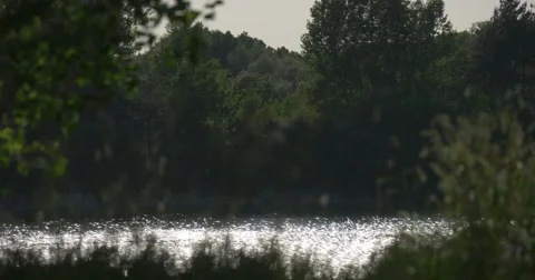 Wind Is Swaying Tree Branches, Grass. Waves on the River Stock Footage 51663783