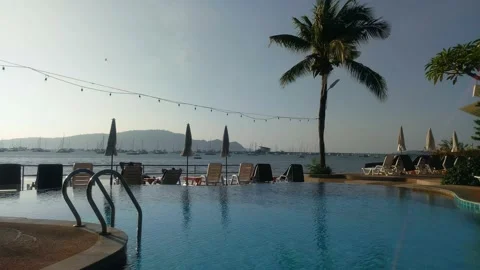 Wind sways palm branches in hotel near pool and many sun loungers with umbrellas Stock Footage 156372568