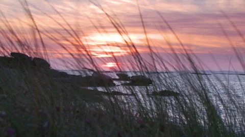 Wind swept coastline at sunset Video stock 86352