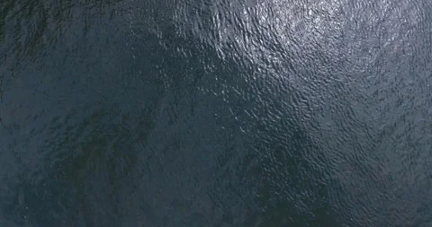 Wind-swept river waves under the sunlight Stock Footage 131116491