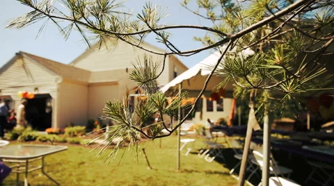 Wind swings tree branches outside Stock Footage 68668855