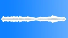 Wind Thru Palm Trees 1Sound Effect