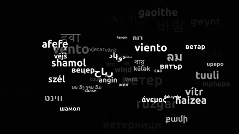 Wind Translated in 70 Worldwide Languages Endless Looping 3d Zooming Wordclou Stock Footage 145213700