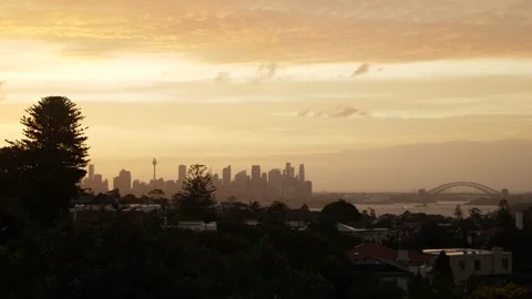 Wind in a tree and Sydney sunset cityscape 6K Stock Footage 299873119