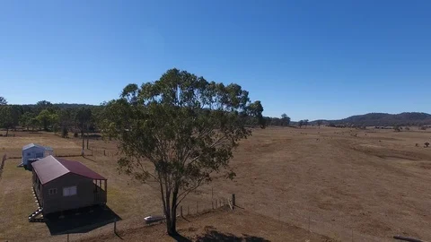 Wind in Tree 스톡 동영상 90784307