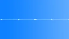 Wind Trees 01 - Gentle BreezeSound Effect