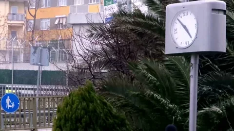 Wind, trees and clock Stock Footage 169245237