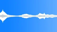Wind in Trees: Strong Leaves Rustle Birds Sing Gusts of Wind on Meadow - V6Sound Effect