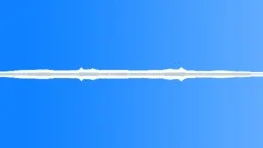 Wind in Trees: Strong Leaves Rustle Birds Sing Gusts of Wind on Meadow - V3 Sound Effect
