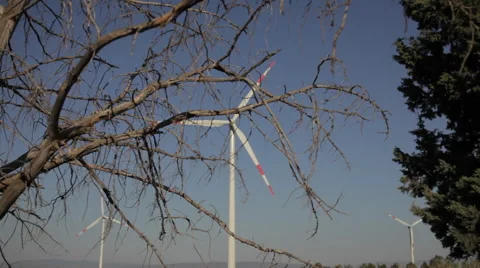 Wind Tribunes behind the deadwoods Stock-Footage 65173935