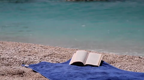 The wind tuns over the pages of a book in front of the sea Stock Footage 25996657