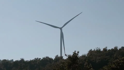 Wind Turbine Above Forest Canopy Stock Footage 282926950