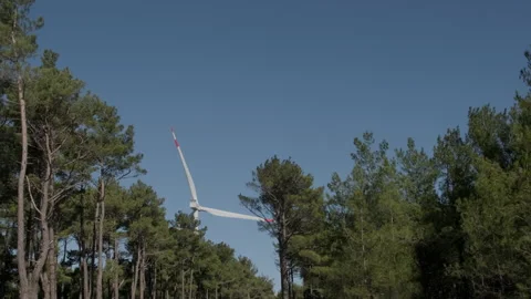 Wind Turbine Amidst Forest Trees Stock Footage 282926219