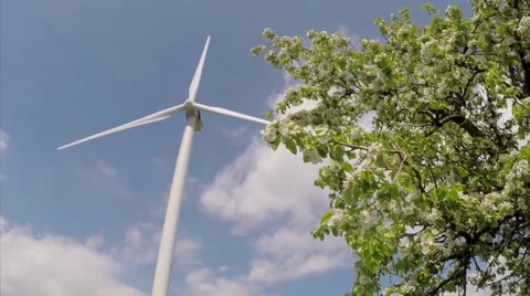 Wind turbine and apple tree Stock Footage 50798340