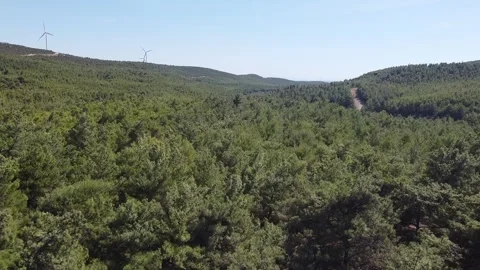 Wind Turbine and forest Stock Footage 335963785