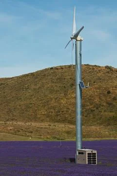 Wind turbine and solar panel in a lavender farm near Twizel Stock Photos