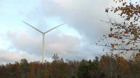 Wind Turbine and a Tree Stock Footage 10567898